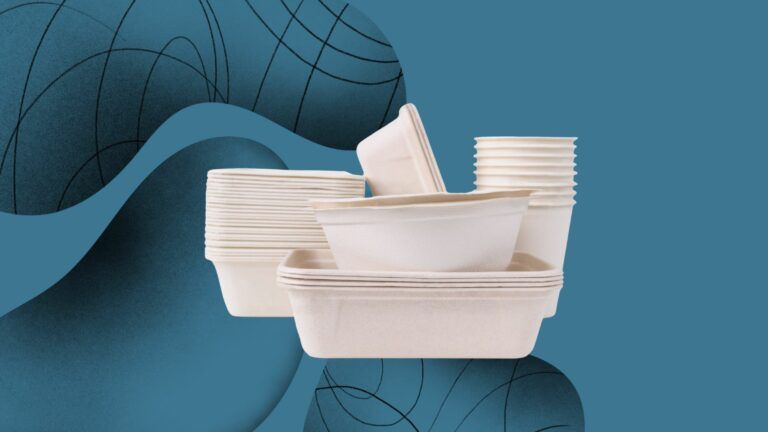 Barquette Alimentaire Pulpe